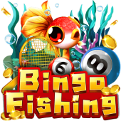 Bingo Fishing bingo plus app